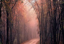 维拉尔雷亚尔与切尔西对决，实力对比悬殊