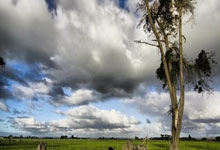 落后两球的利兹联逆袭，战成平局——一场不甘示弱的曼妙反击