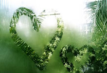 曼城与利物浦殊途同归，争夺欧冠四强席位