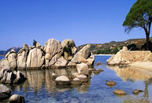 切尔西客场失利，晋级之路蒙阴